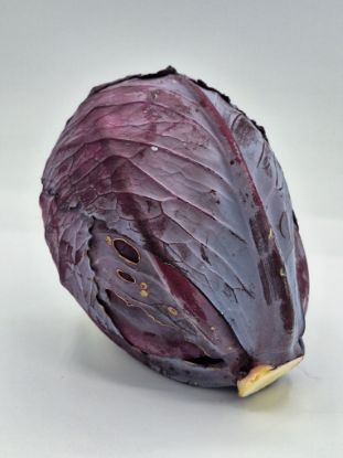 Zeige Details für Rotkraut per kg Bild von Rotkraut per kg