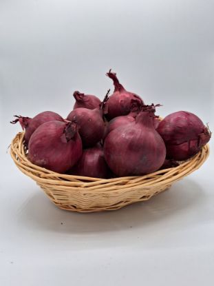Zeige Details für Zwiebel rot per kg Bild von Zwiebel rot per kg