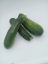 Picture of  Zucchini per kg 