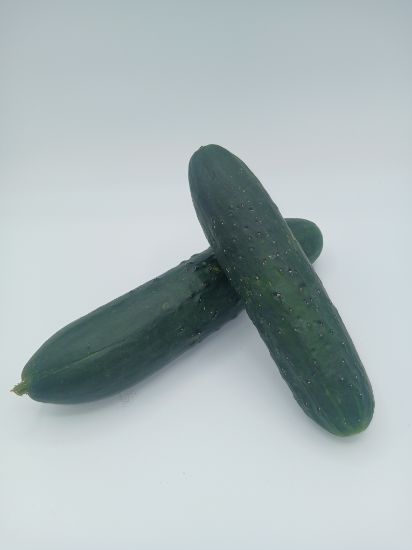 Picture of  Gurken per kg