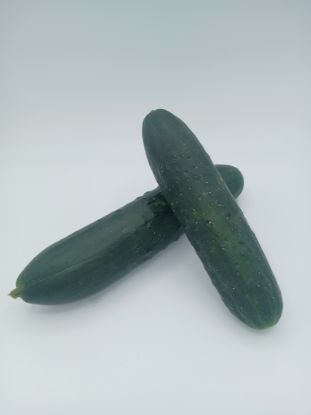 Picture of BIO -  Gurken per kg