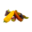Bild von Bio Spitzpaprika bunt per kg