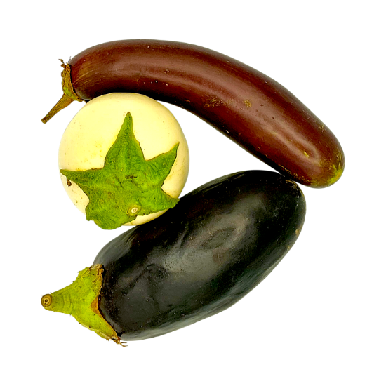 Bild von  Melanzani ATR per kg 