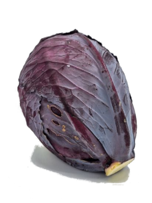 Picture of BIO -  Rotkraut per kg 