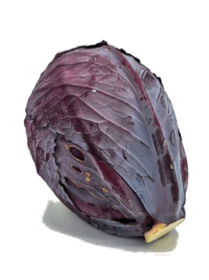 Bild von BIO -  Rotkraut per kg 